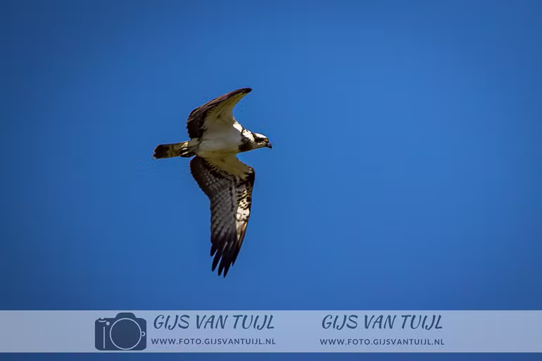 2020_04_20  Everdingerwaard